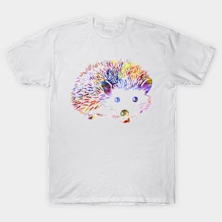 Colorful Hedgehog Lovers Design T-Shirt